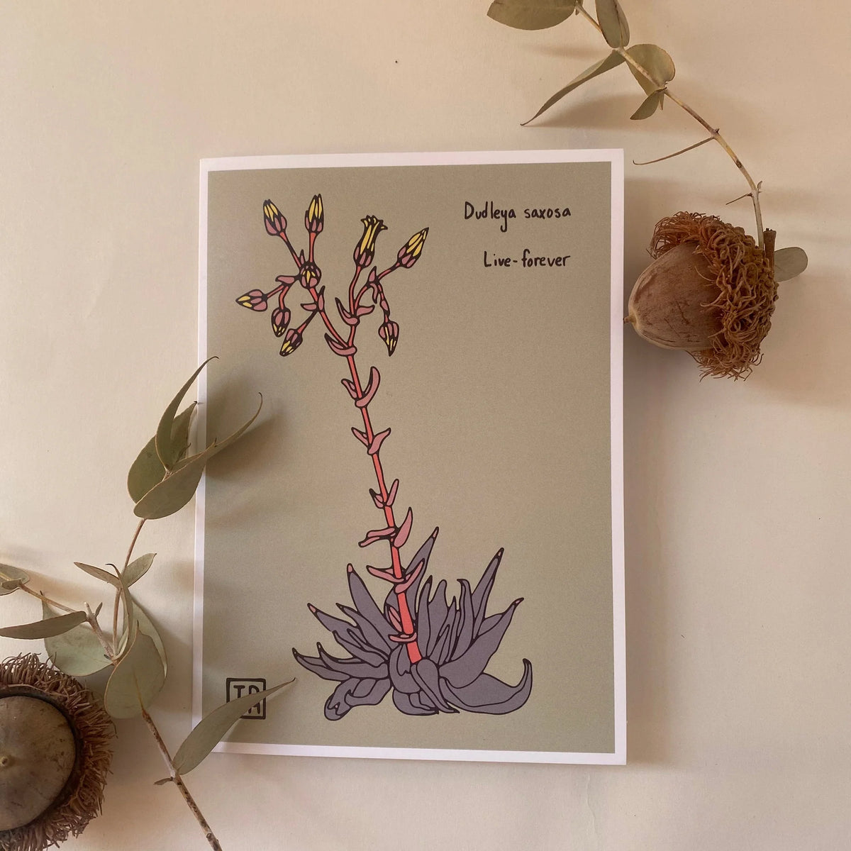 Sonoran Witch Boy Greeting Card