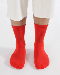 Baggu Ribbed Sock